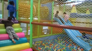 WP_20161003_005.jpg